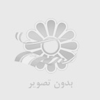 نهال ریشه پر